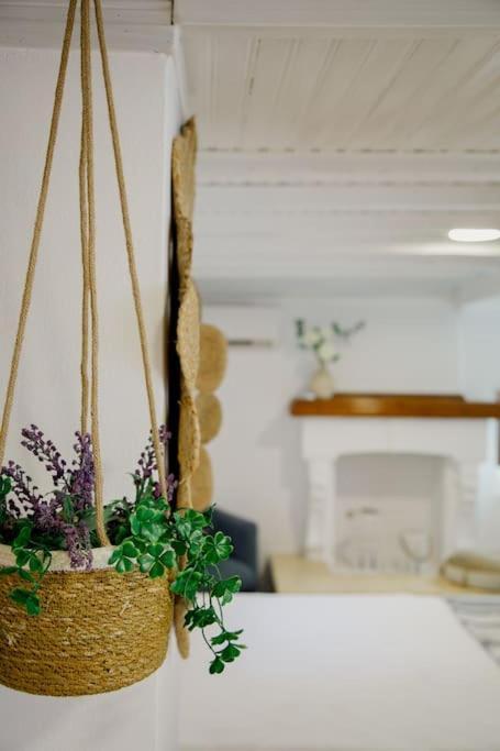 Apartament Yard- Family Retreat Corinth Zewnętrze zdjęcie